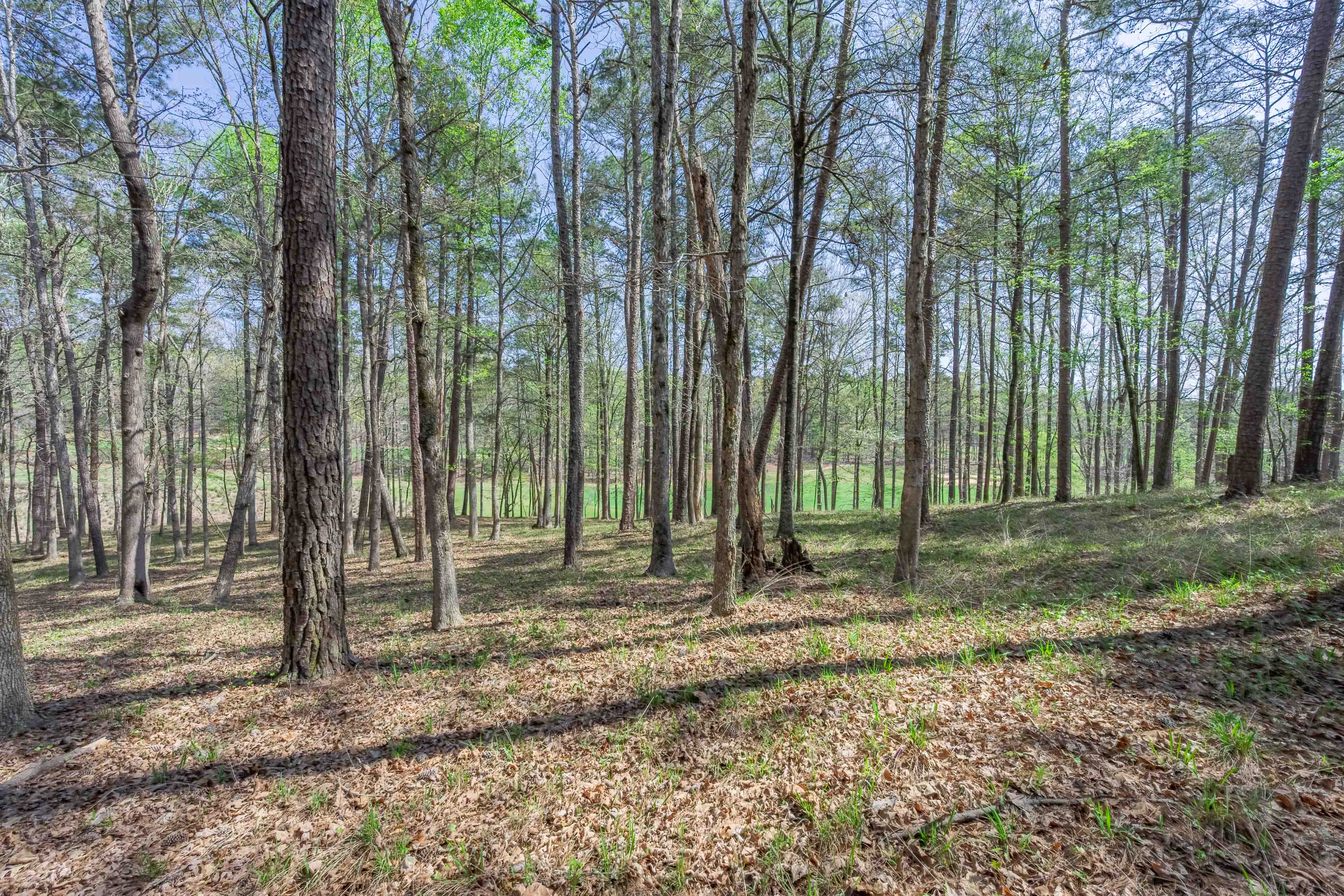 1190 Callahan's Ridge Road image 8